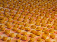 tecnopasta pasta
